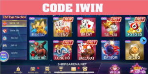 Code IWIN