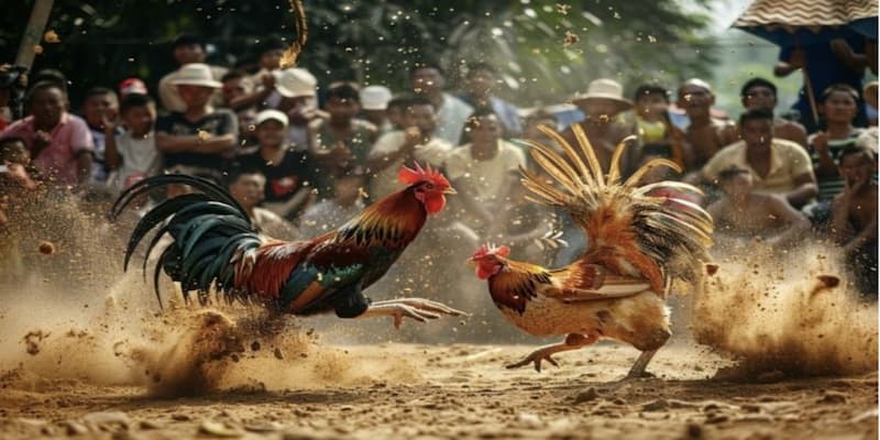 Đá gà iwin Quản Lý Ngân Sách – Yếu Tố Sống Còn